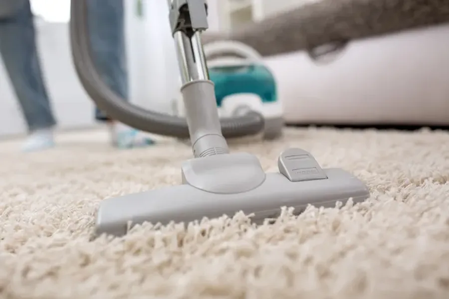 Experienced Carpet Cleaning Services Jackson, MS